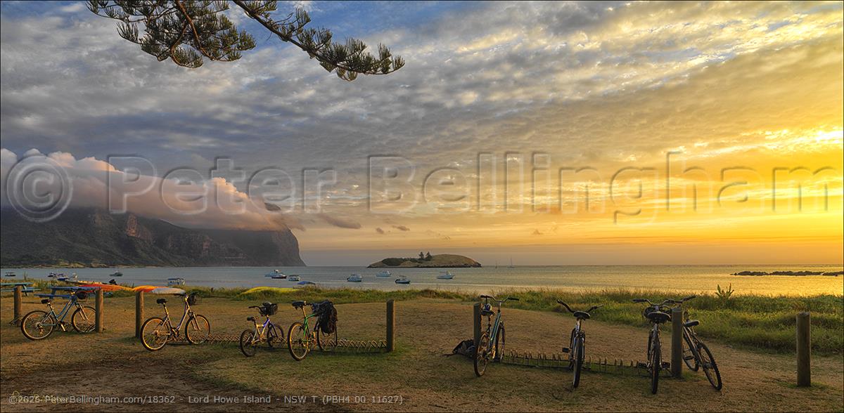 Peter Bellingham Photography Lord Howe Island - NSW T (PBH4 00 11627)